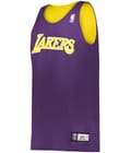 Nba La Lakers Purple/Gold