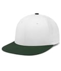 White/Dark Green