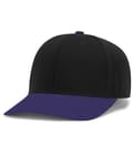 Black/Purple