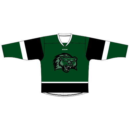 Custom Hockey Jerseys with A Hawk Twill Team Logo Adult XXL / (name and Number on Back and Sleeves) / White