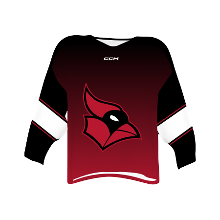 FreeStyle Sublimated Essential Series V-Neck Hockey Jersey